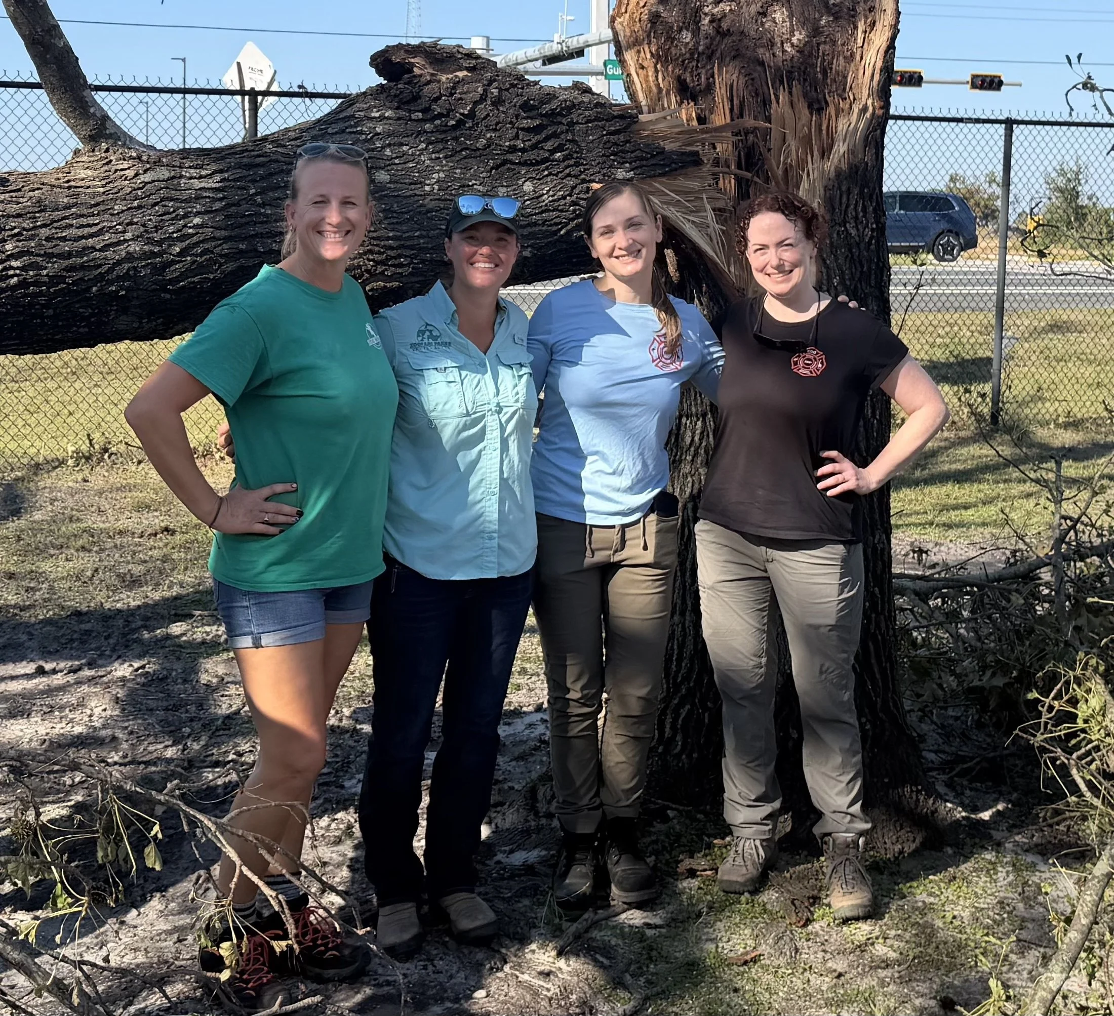 Four smiling women in front of a damaged tree.