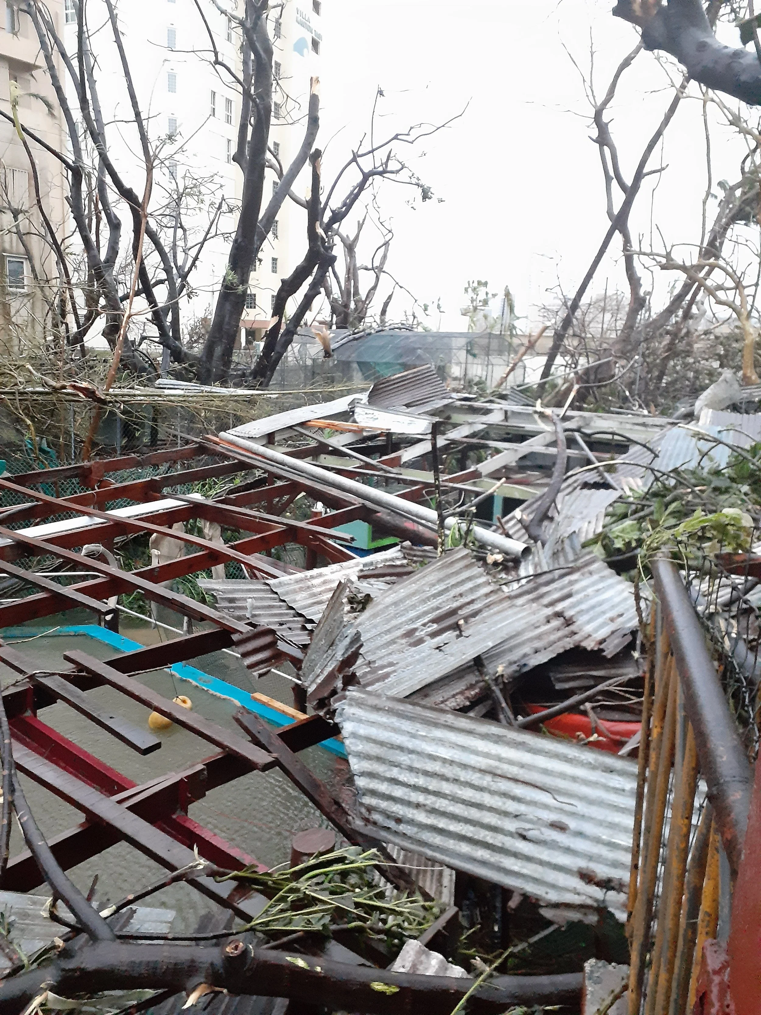 A pile of debris at a zoo hit by a typhoon in front of an enclosure that appears to have weathered the storm. In the background are large buildings that are still standing behind denuded trees.