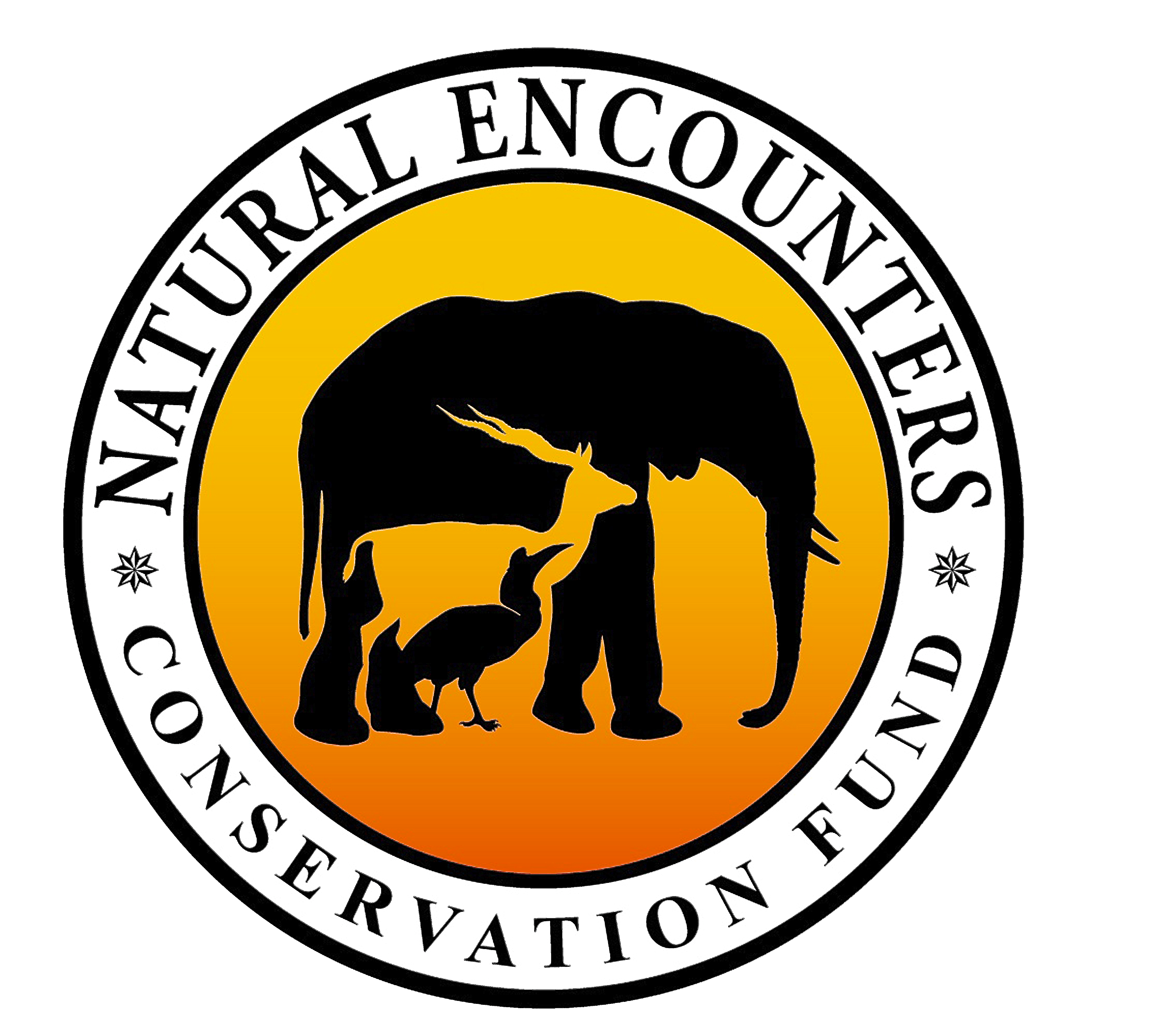 NECF Logo.png