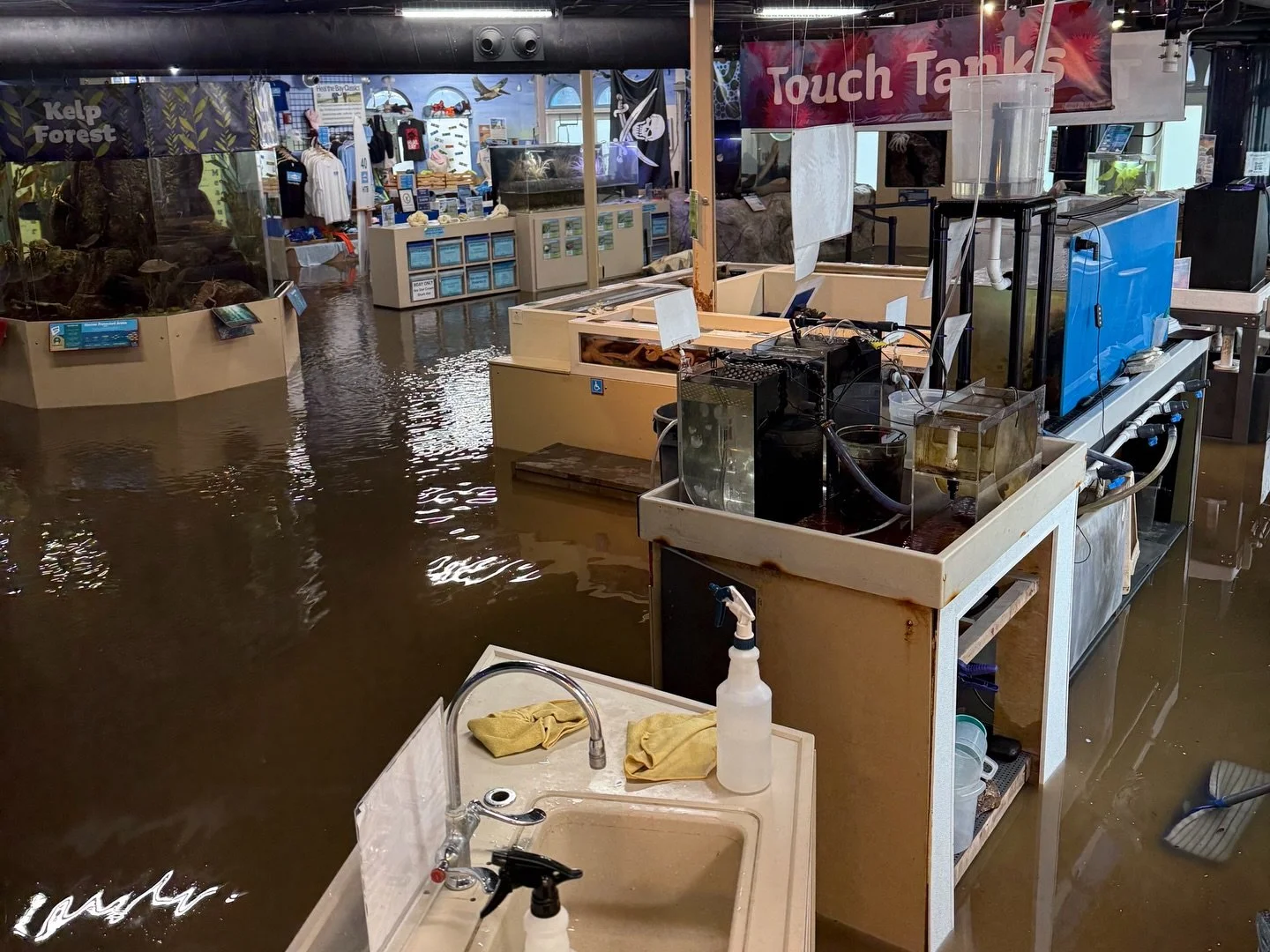 Interior of an aquarium and gift shop with flood water about 1 foot deep