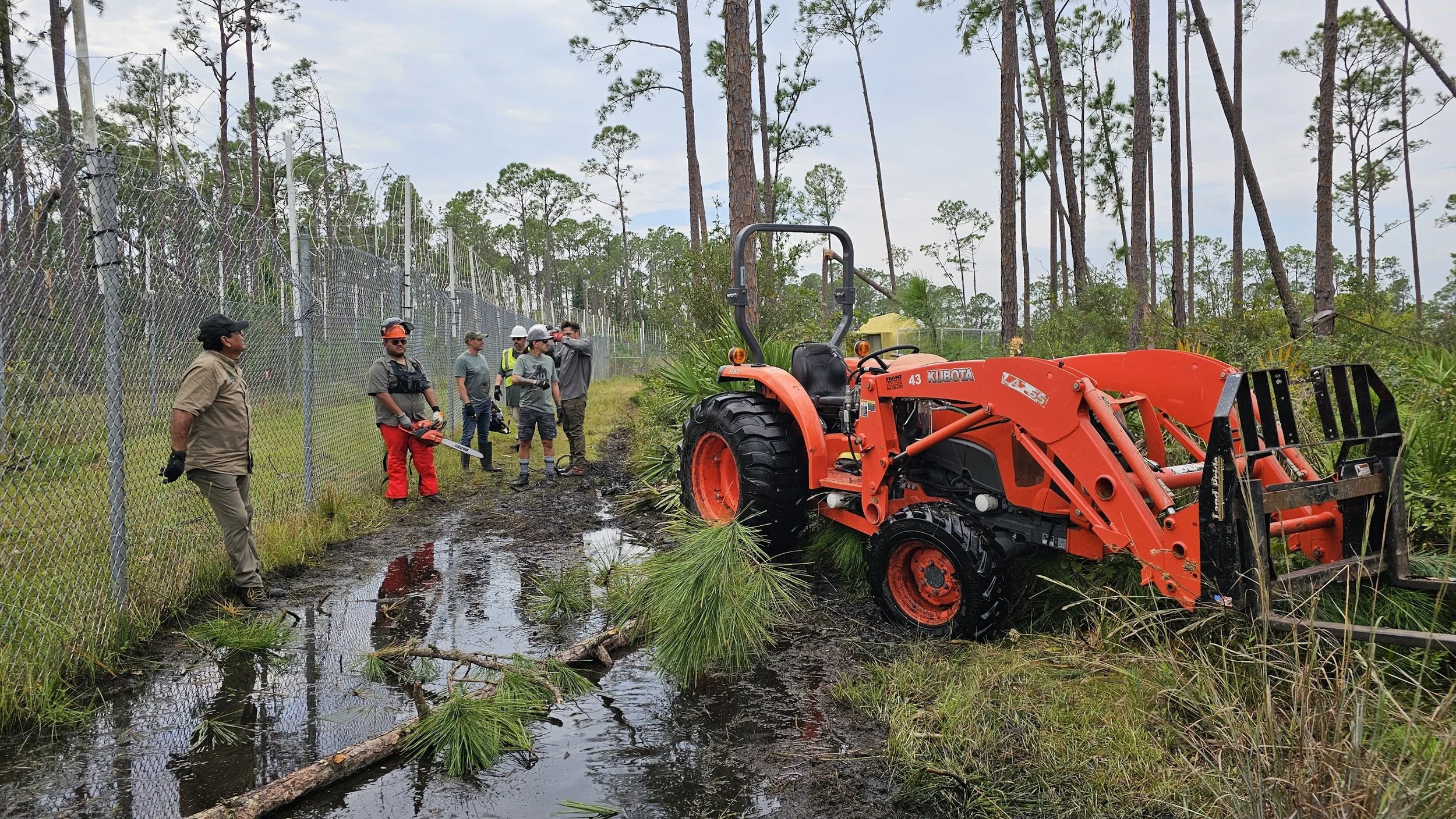 Palm Beach and Myakka Elephant Ranch teams assessing a tree leaning towards the fence line and making a plan
