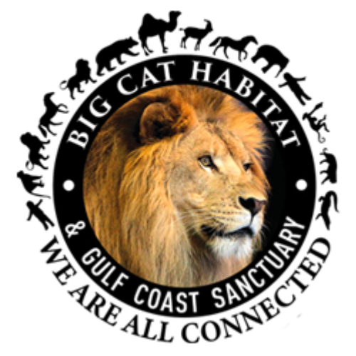 Big Cat Habitat logos.png