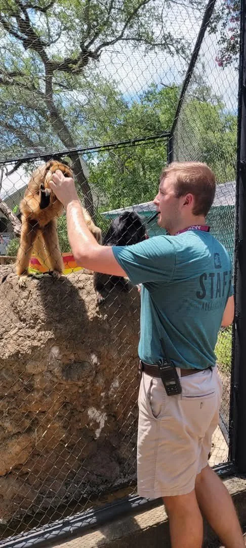 Konnor working with two Howler monkeys. He is standing outside a habitat and feeding a gold-colored monkey through it, while a black monkey stands nearby. He is in a dark green shirt that says "STAFF" and khaki shorts.