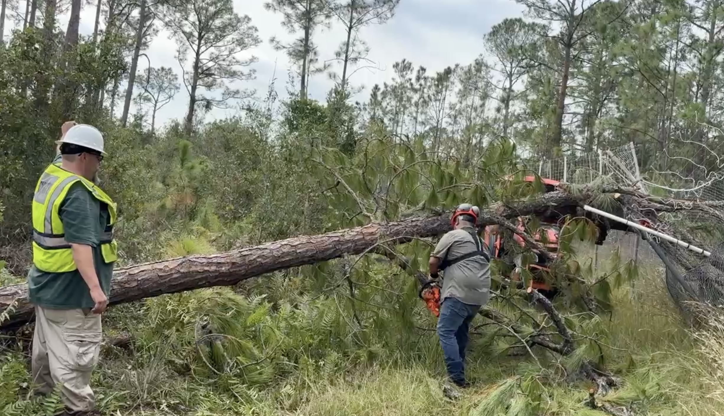 Palm Beach crew and Don the maintenance man working on last tree that fell on fence line