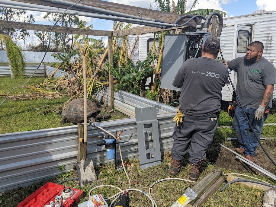 Two men in grey work clothes and shirts that say "San Antonio Zoo" on the back are standing next to an animal habitat. They are fixing something inside an electric box at the corner of the habitat. Inside the low metal fence of the habitat, a very la