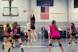 wildthings black2.jpeg