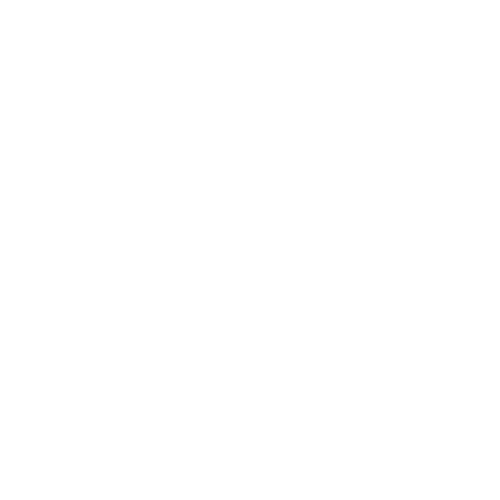 BSCAIwhite.png