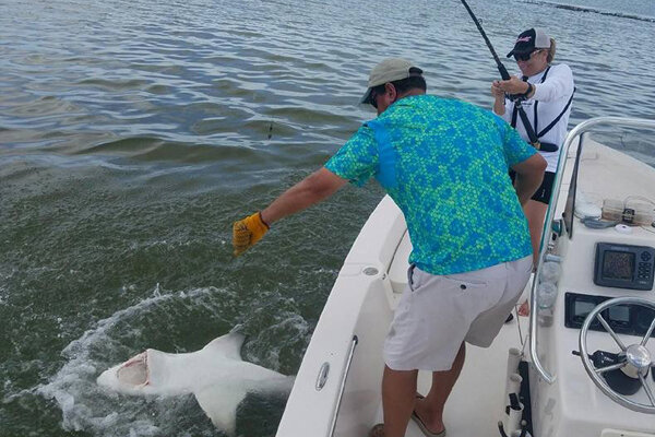 Everglads-Shark-Fishing.jpg