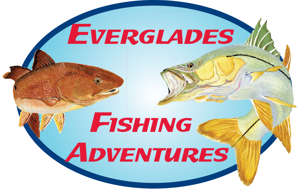 Everglades Fishing Adventures