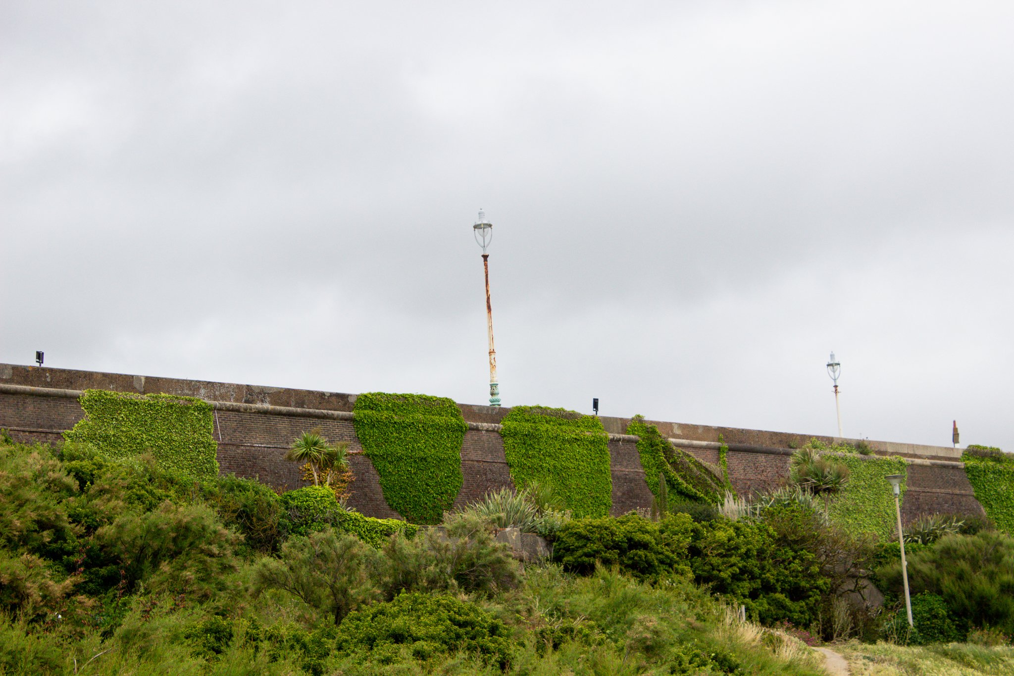 20230630-_MG_4757.jpg