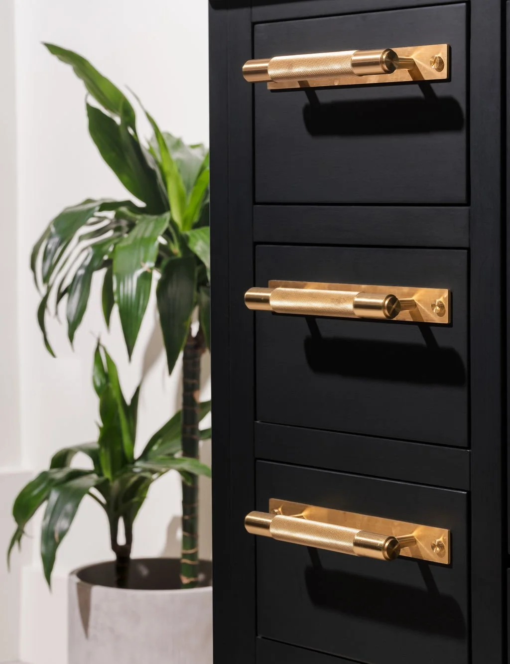 Black kitchen drawers with brushed brass handles and indoor plant background