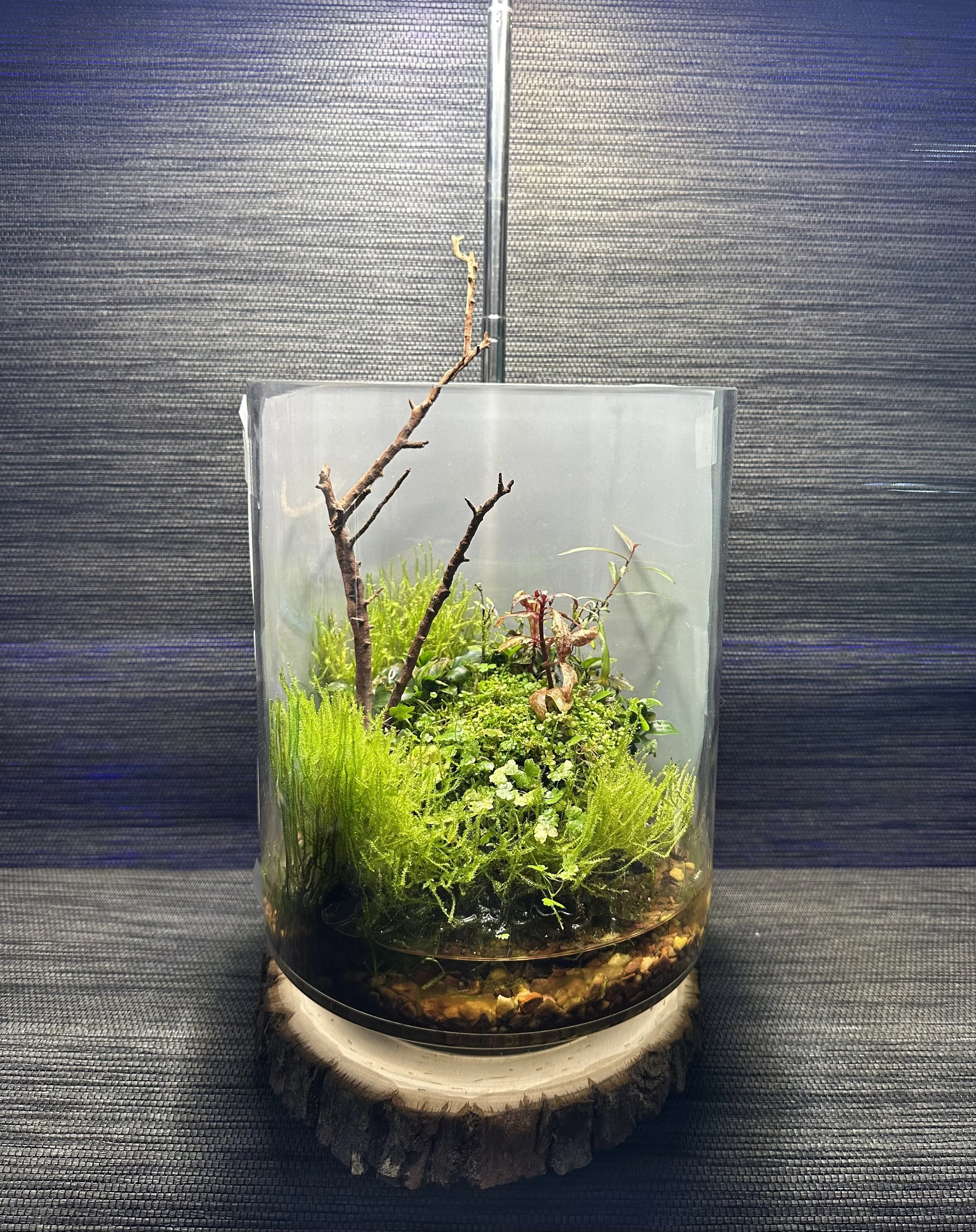 IMG_5821 - Confucius Say.jpeg