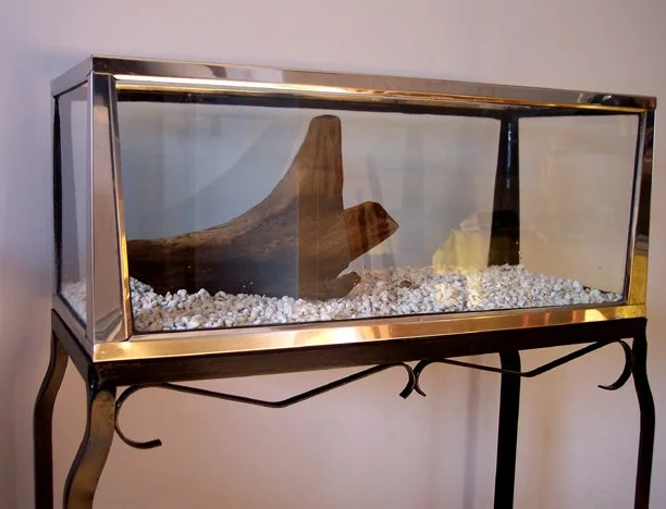 Johnathon Butkus: Metal Frame Madness: a glance into Mid Century aquarium keeping