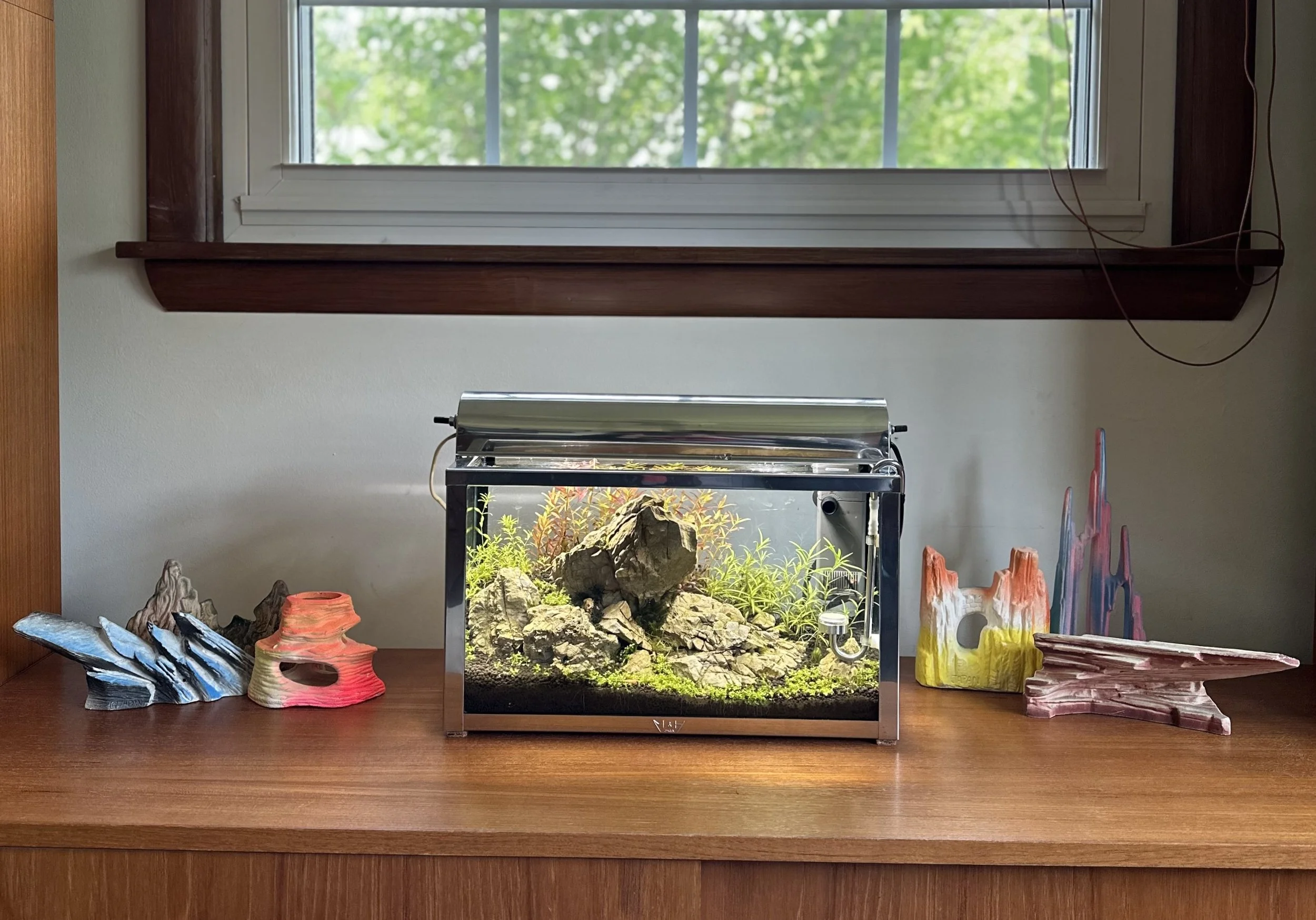 Johnathon Butkus: Metal Frame Madness: A glance into Mid Century aquarium keeping