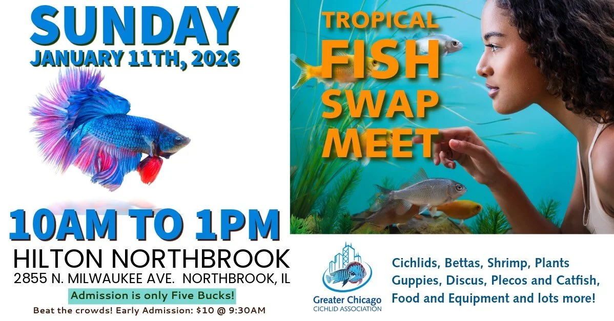 GCCA Tropical Fish Swap Meet