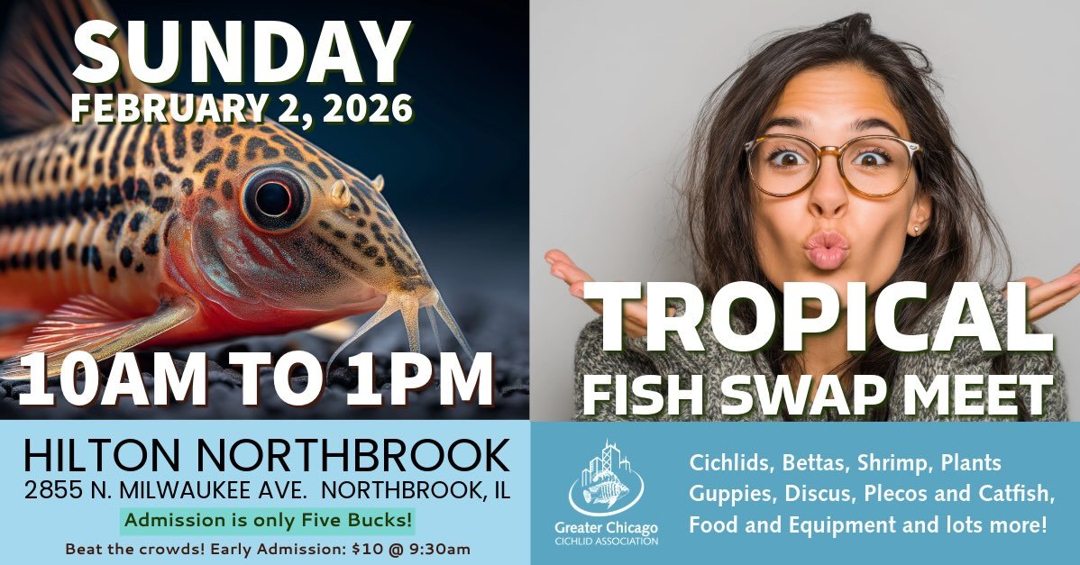 GCCA Tropical Fish Swap Meet