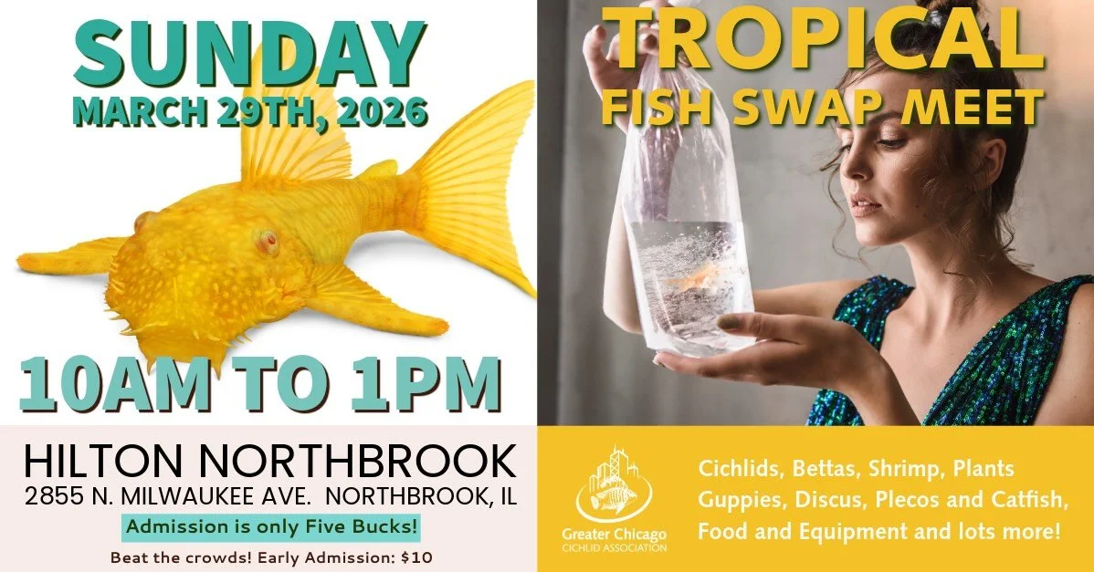 GCCA Tropical Fish Swap Meet