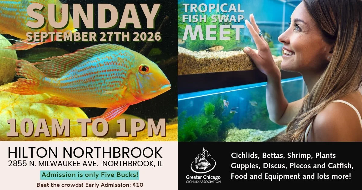GCCA Tropical Fish Swap Meet