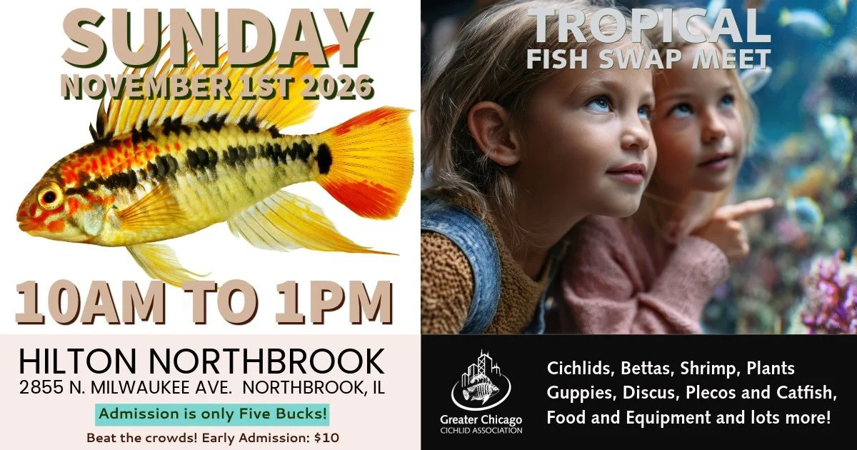 GCCA Tropical Fish Swap Meet