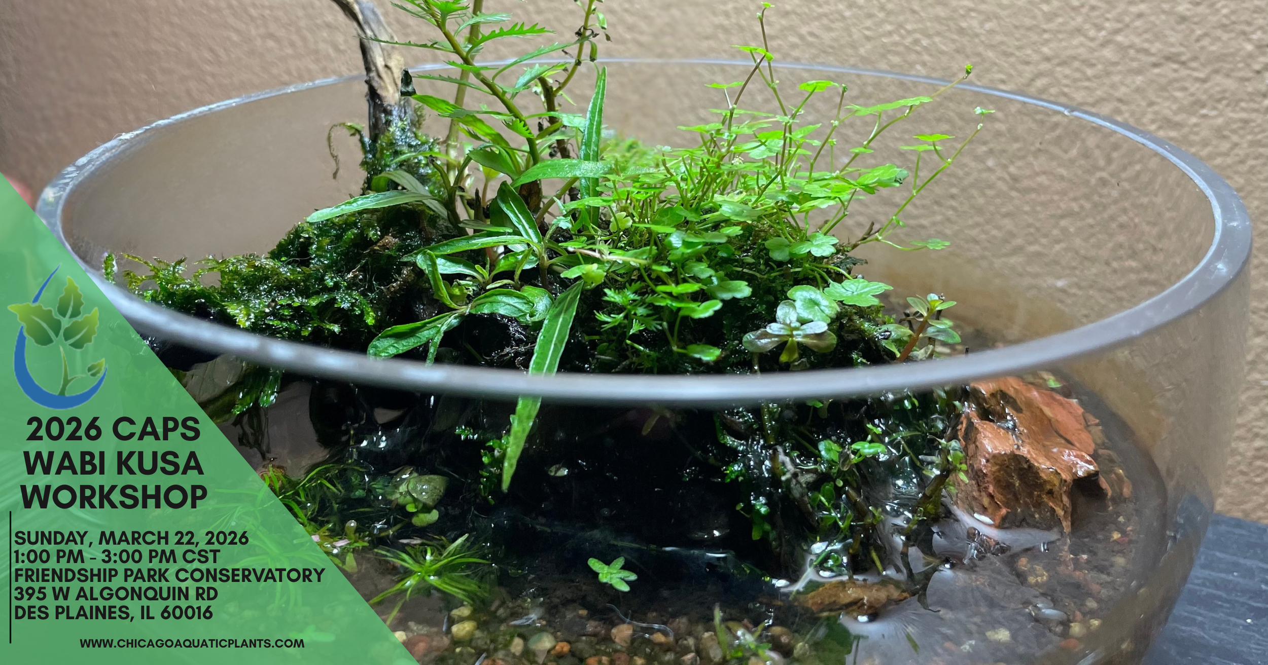 2026 CAPS Wabi Kusa Workshop