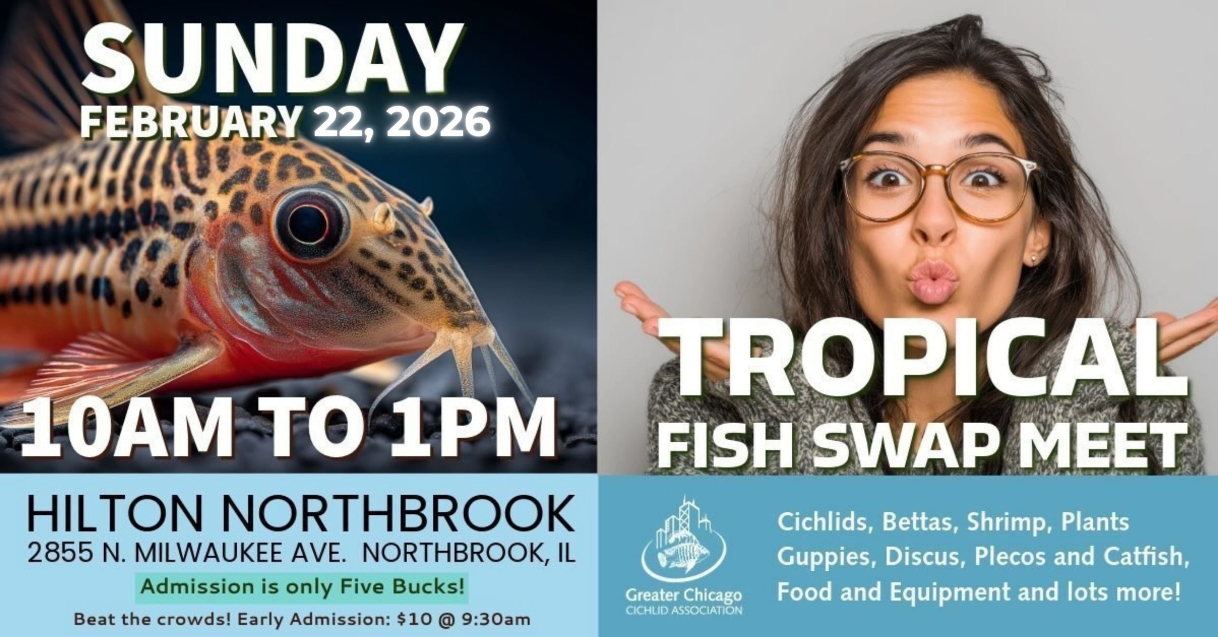 GCCA Tropical Fish Swap Meet