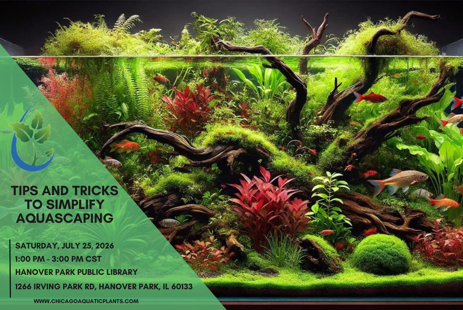Tips and Tricks to Simplify Aquascaping 