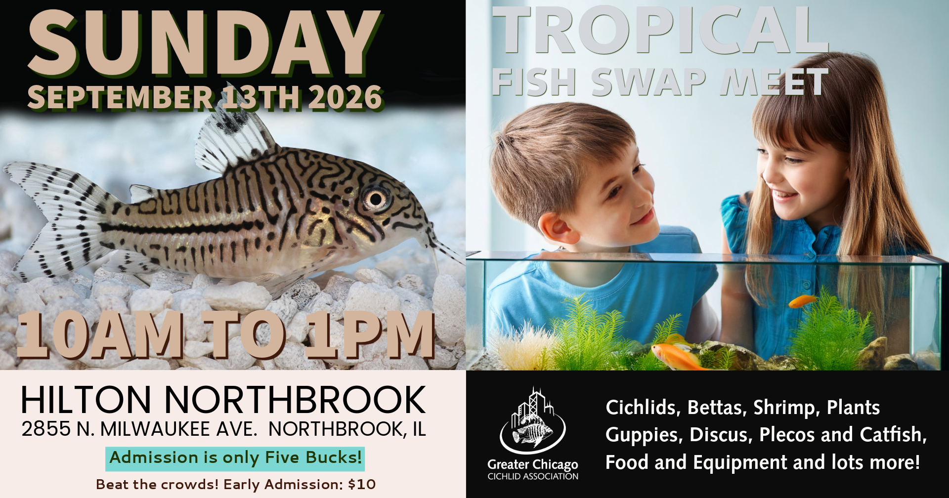 GCCA Tropical Fish Swap Meet