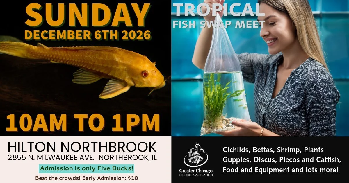 GCCA Tropical Fish Swap Meet