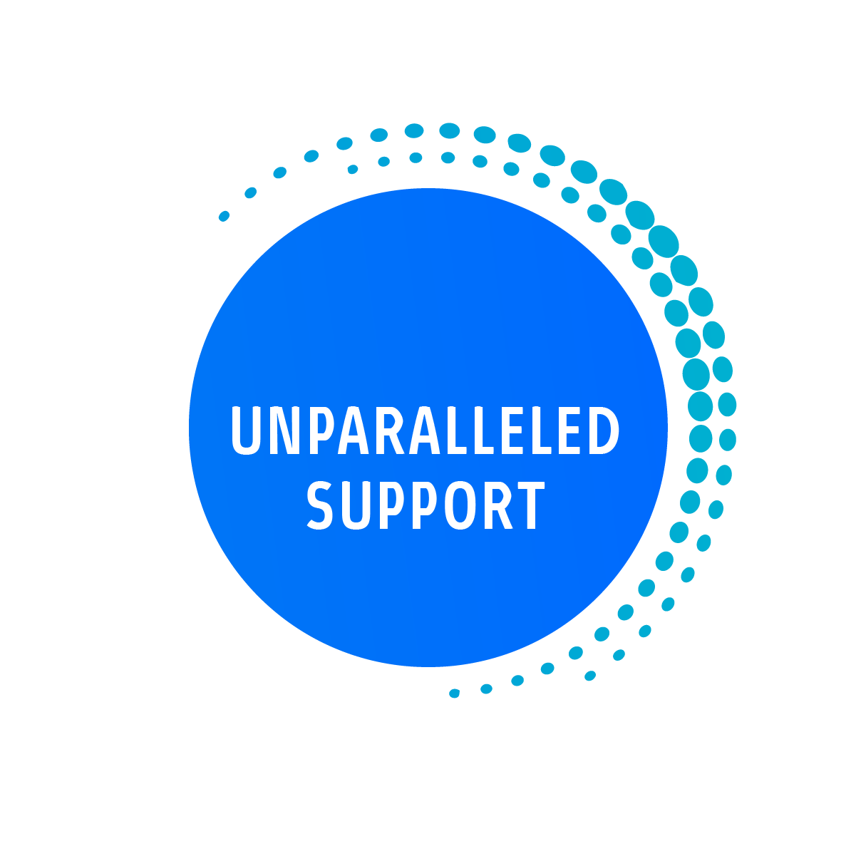 Unparalleled Support from the Spiral Team