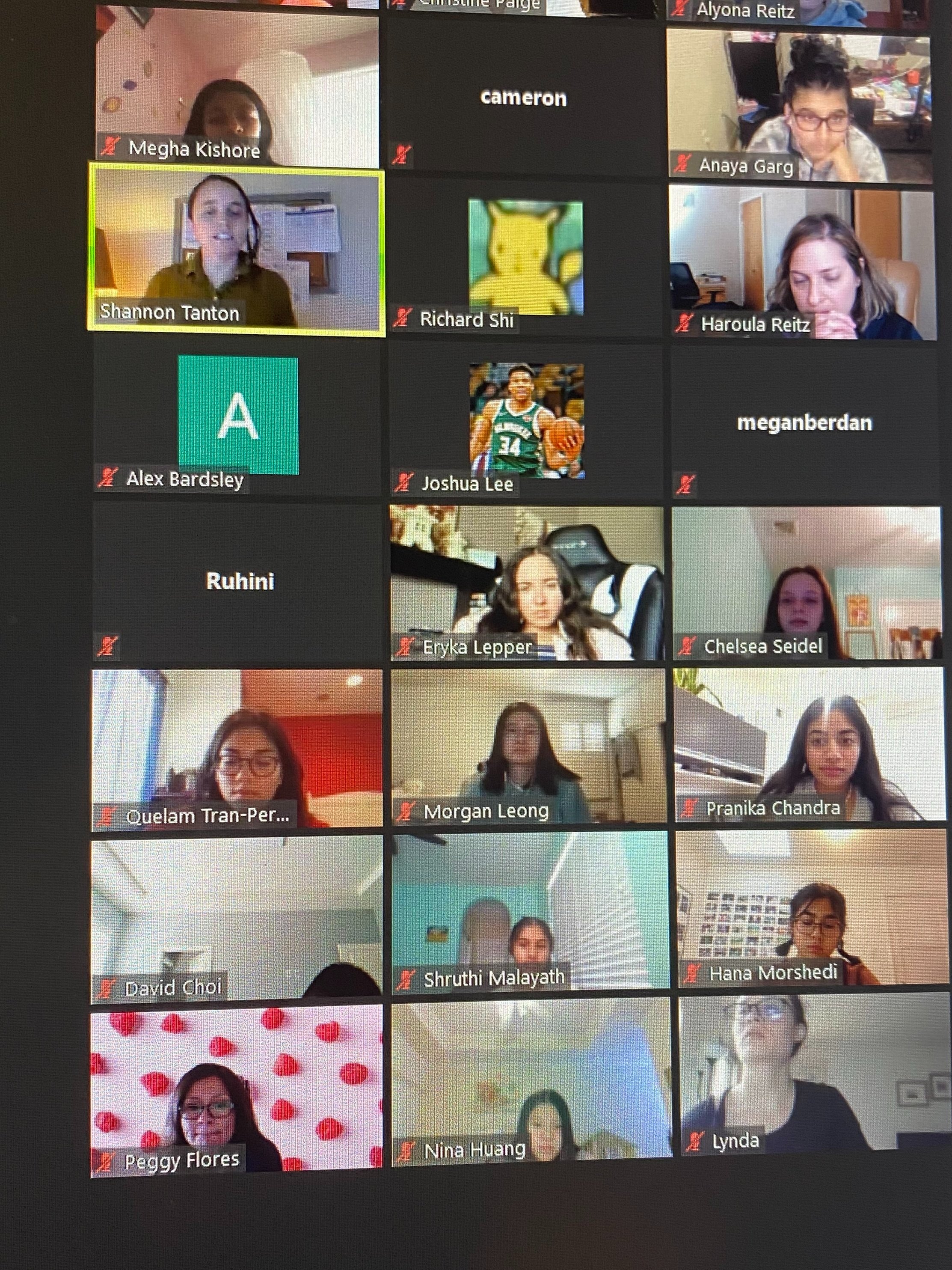 Screenshot of Zoom Call with MT Club Volunteers
