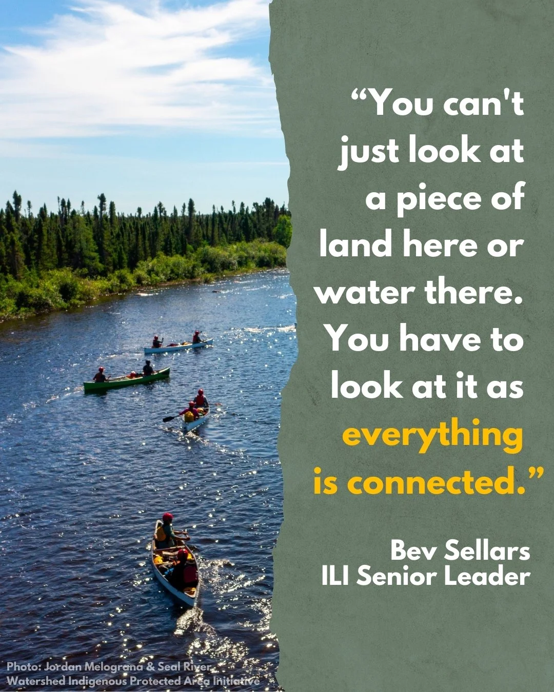 Indigenous Peoples have always understood that the health of people and the health of the land are inseparable. That’s why Indigenous-led conservation focuses on protecting whole ecosystems, ensuring they can sustain future generations.
When w