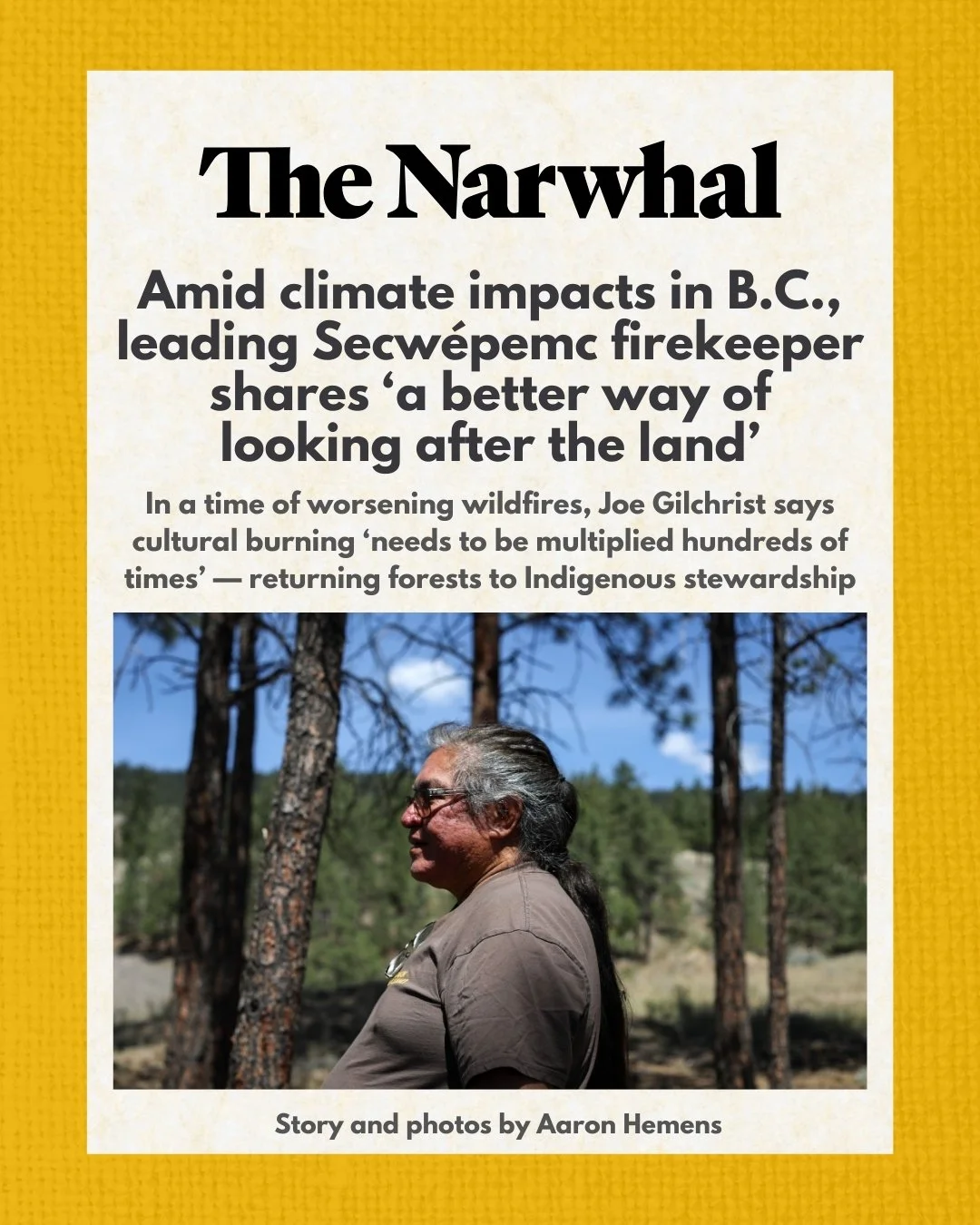 Unhealthy, overgrown forests are the fuel of megafires. In the latest from @thenarwhalca, Secw&eacute;pemc firekeeper and expert Joe Gilchrist explains how cultural burning&mdash;practiced for generations by Indigenous People across Turtle Island&mda