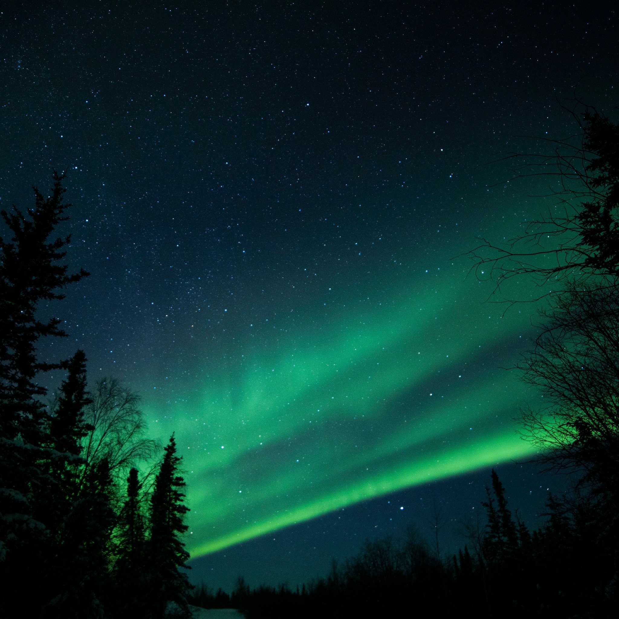 On the Winter Solstice, we welcome the year&rsquo;s longest night and the return of the light. 🌘

For many Indigenous Peoples, this time marks the beginning of storytelling season&mdash;a sacred period to slow down, reflect, and share teachings pass