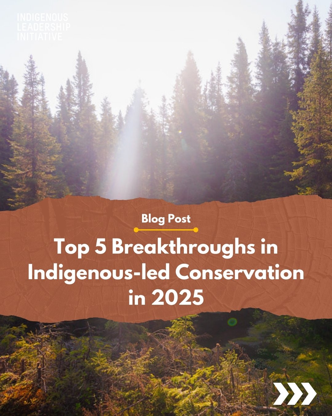 In a year marked by wildfires, political shifts, and climate uncertainty, Indigenous Nations continued to care for lands and waters&mdash;and to offer solutions grounded in knowledge, governance, and relationship.

Take a minute to look back at five 