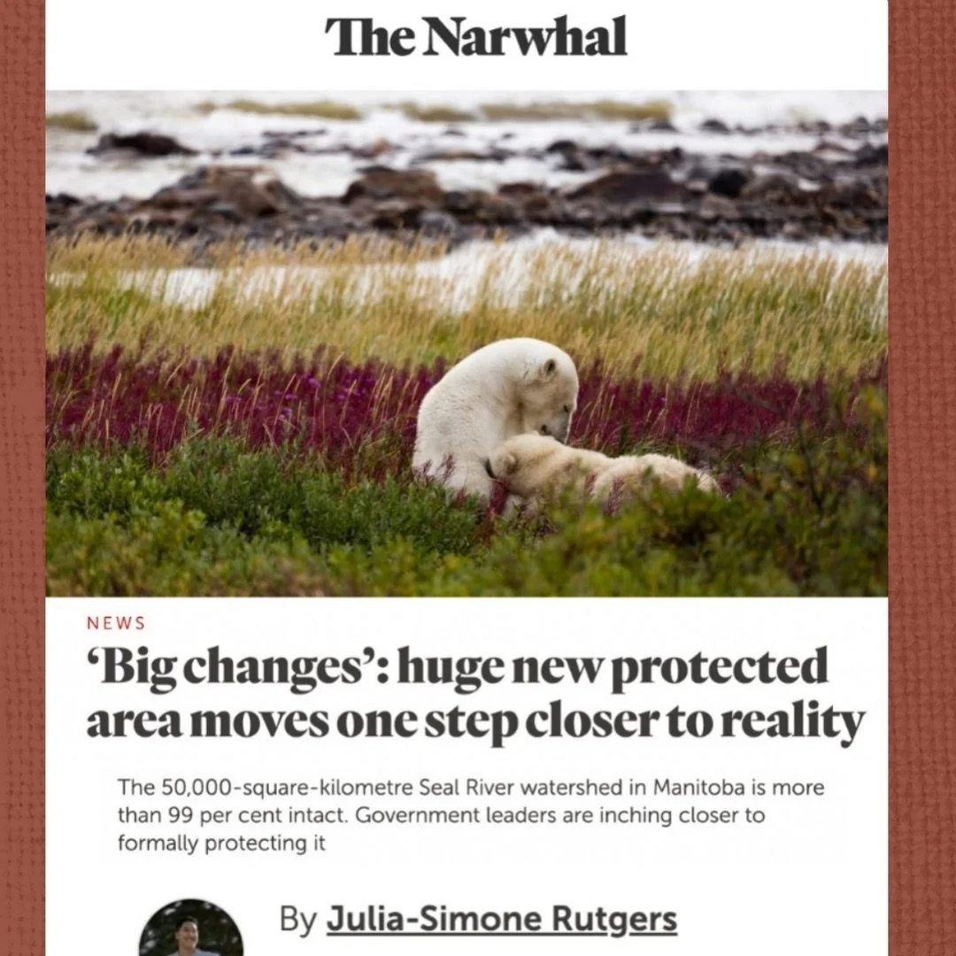 Looking for some positivity as we move into the new year? Take a minute to revisit these stories that gave us hope in 2025.

From investments in Indigenous-led fire training, to a growing recognition of cultural burning,&nbsp; Guardians expanding the