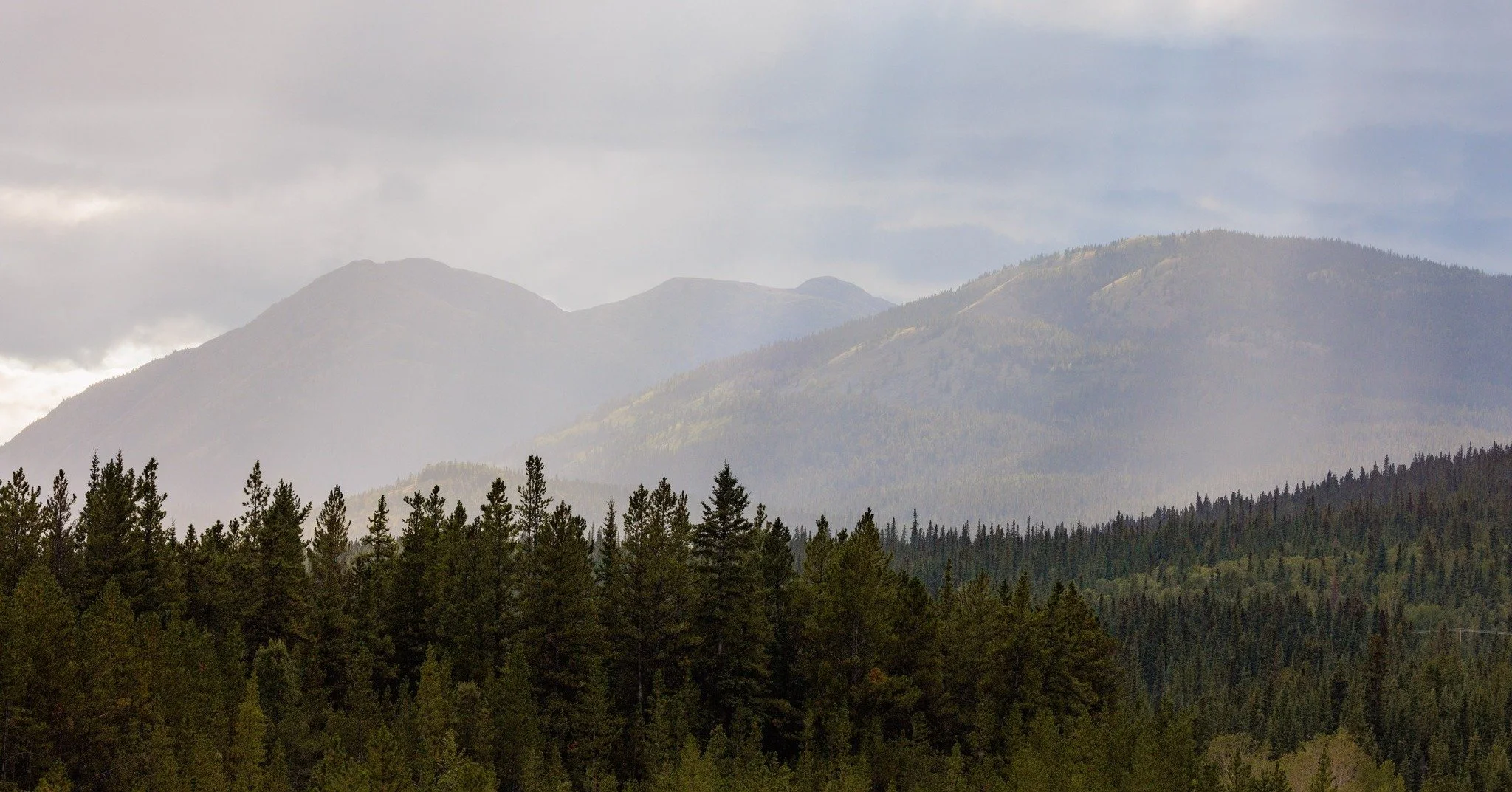 The Boreal Forest is the largest intact forest left on the planet. It&rsquo;s also home to over 700 Indigenous communities who live, work, and care for its lands and waters. These relationships have existed for generations&mdash;and the stewardship t