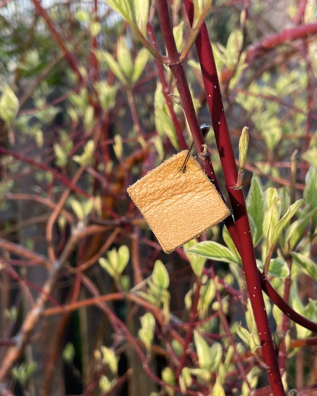 Today is #MooseHideCampaign Day &mdash; an Indigenous-led movement grounded in ceremony, healing, and collective action to end gender-based violence. 🤎

Wearing the moose hide pin is a commitment to protecting women and children, challenging violenc