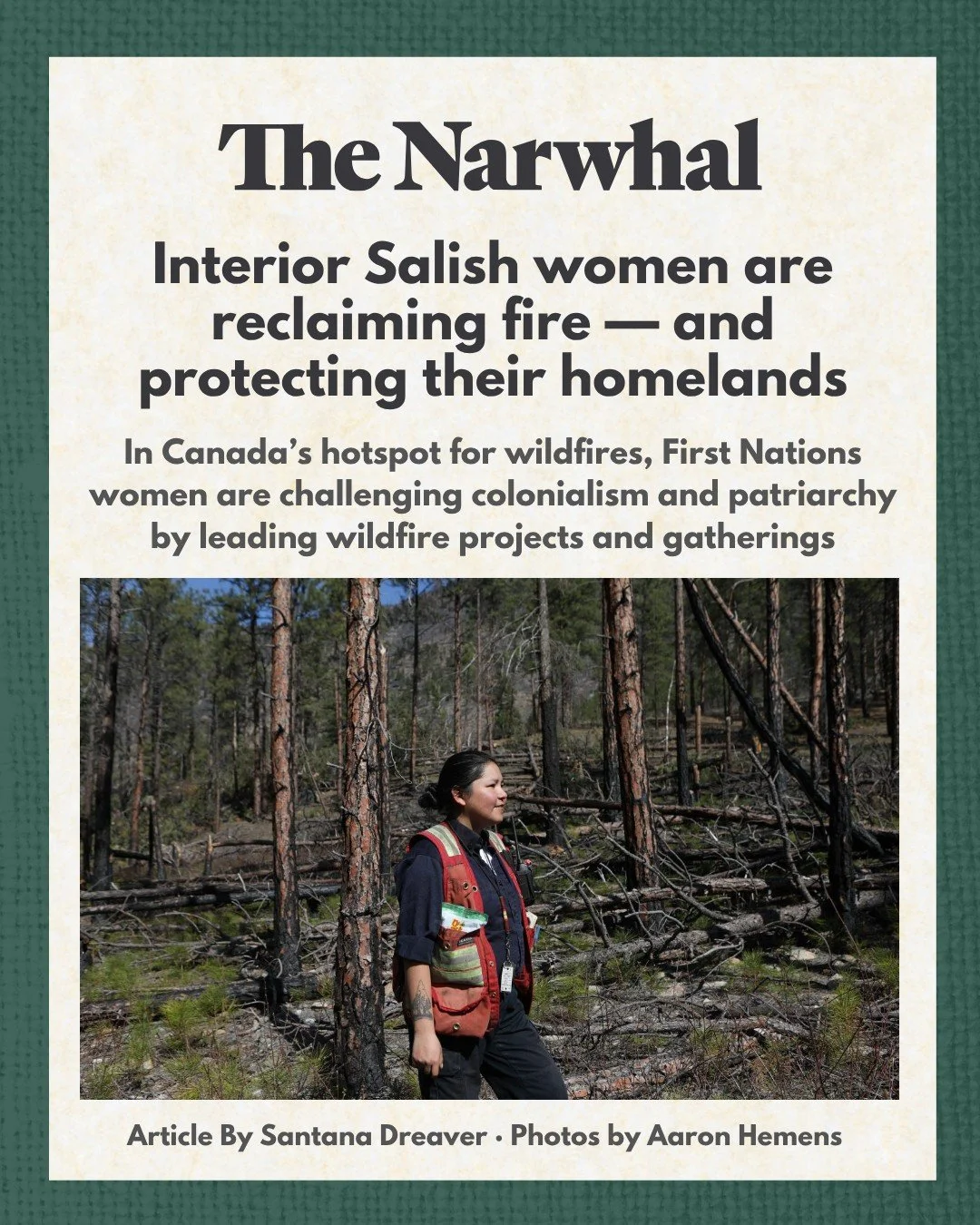 Do you know about the Indigenous women who are helping lead a new future for fire stewardship? 🔥🌾

This @thenarwhalca  article highlights the amazing interior Salish women who are reclaiming cultural burning practices, protecting cultural sites dur