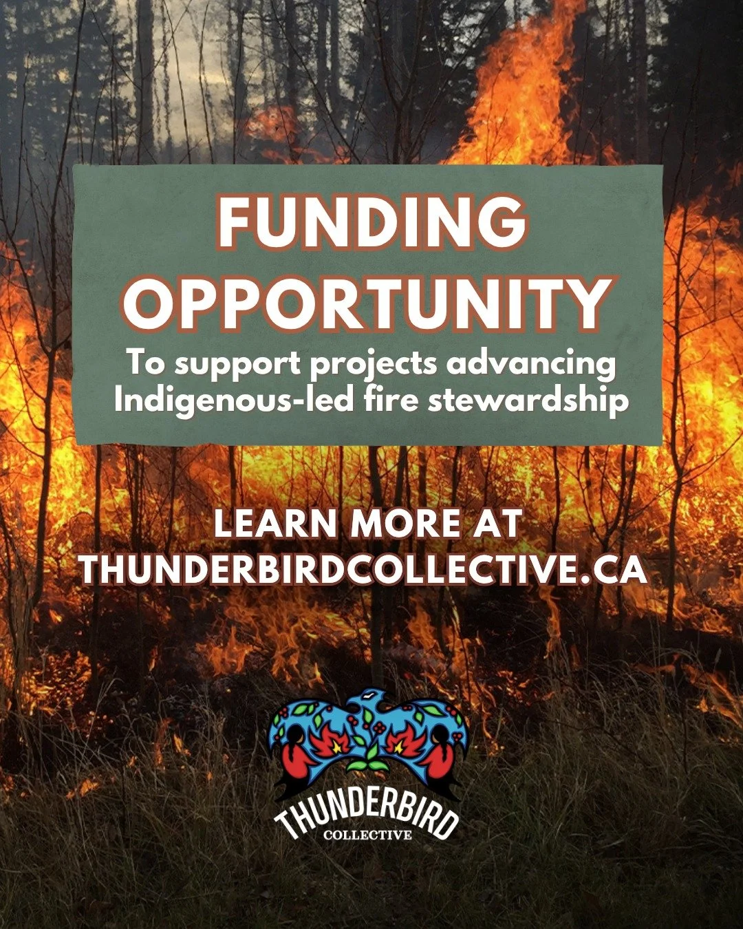 🔥 Funding opportunity for Indigenous fire stewardship initiatives 🔥

Our friends at Thunderbird Collective have launched the second intake of their fire stewardship grants program &mdash; supporting Indigenous-led projects that strengthen communiti