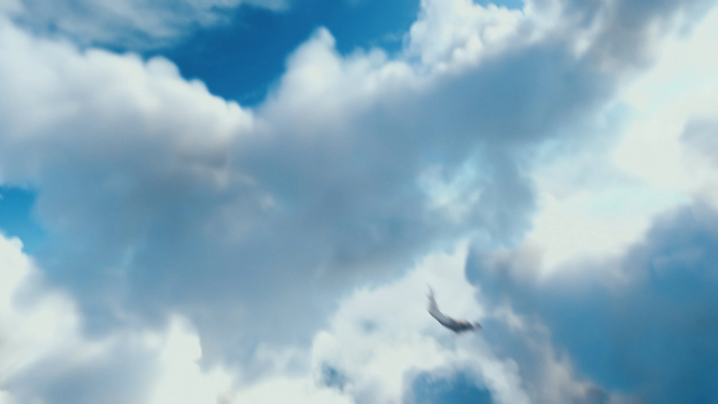 ArLivre_Intro_Screengrab_2.jpg