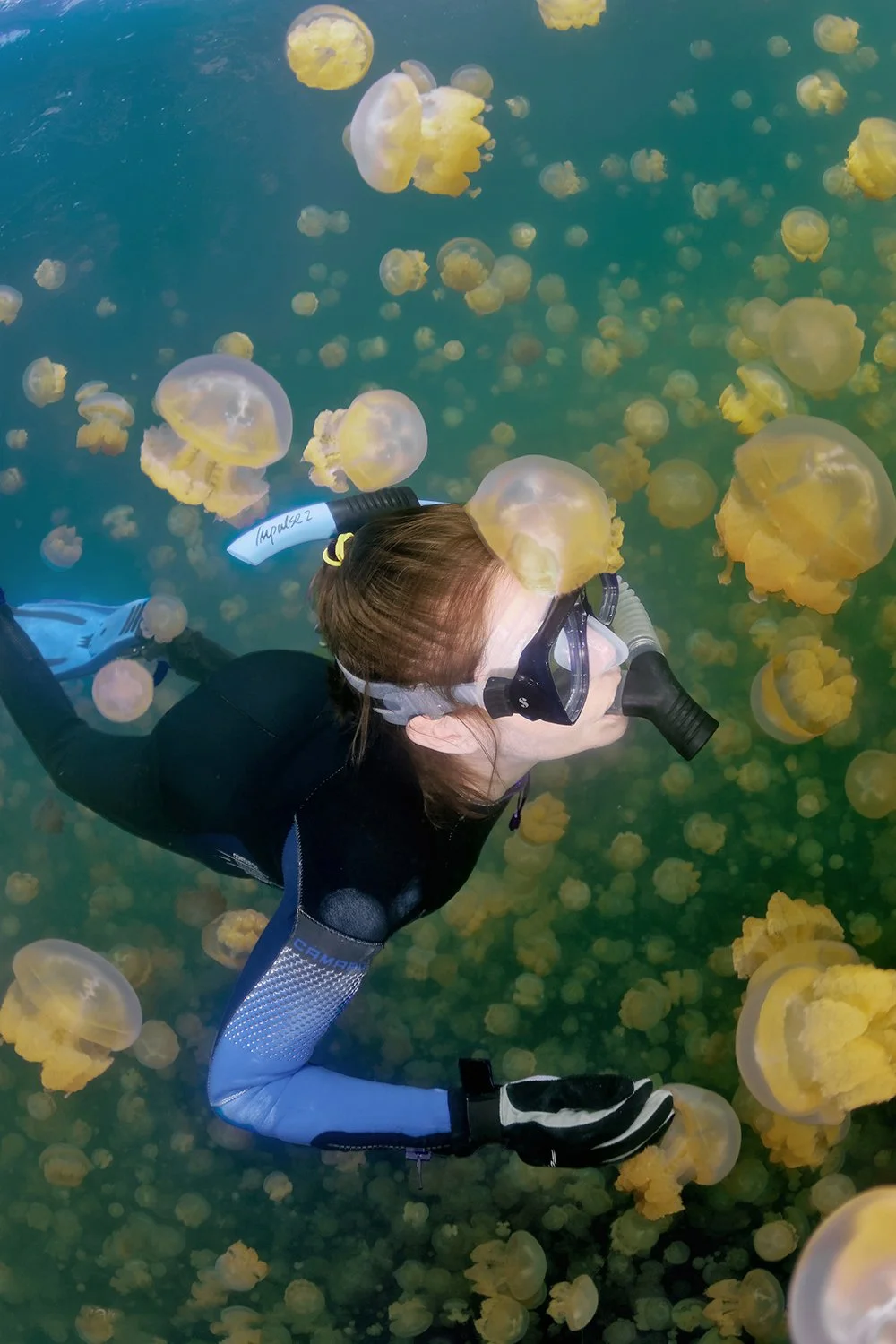 Snorkeling in Jellyfish Lake, Palau