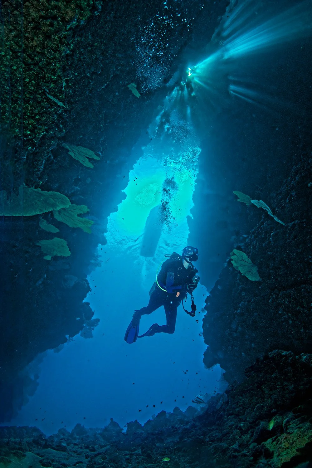 Diver Entering Leru Cut, Solomon Islands