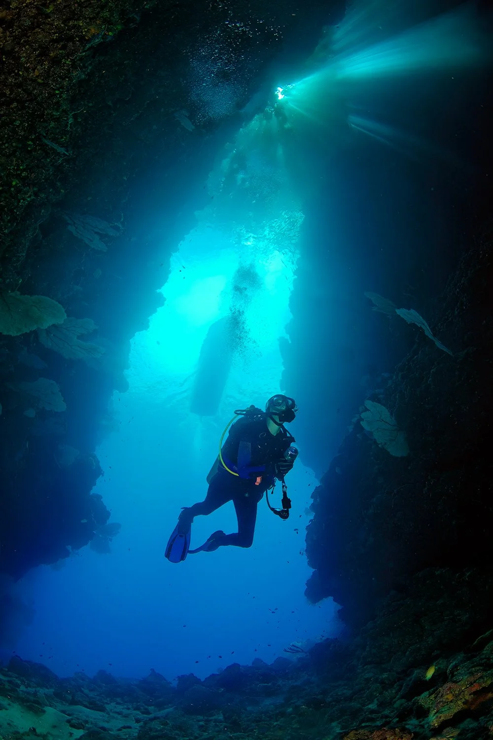 Diver Entering Leru Cut, Solomon Islands