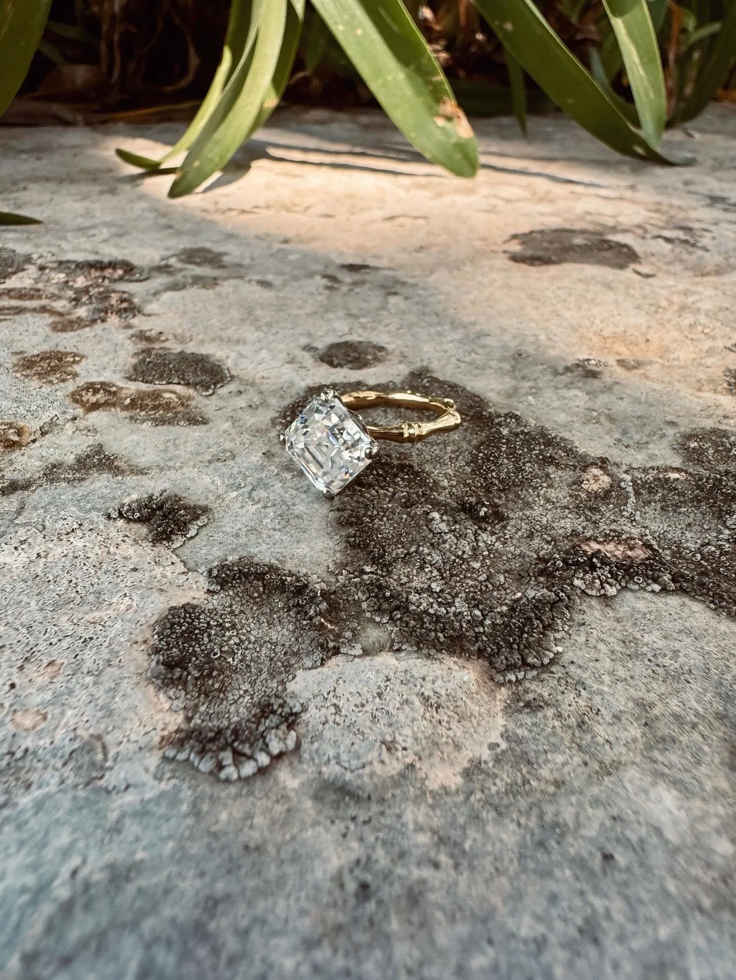 Sugarcane Asscher &hearts;️🍃