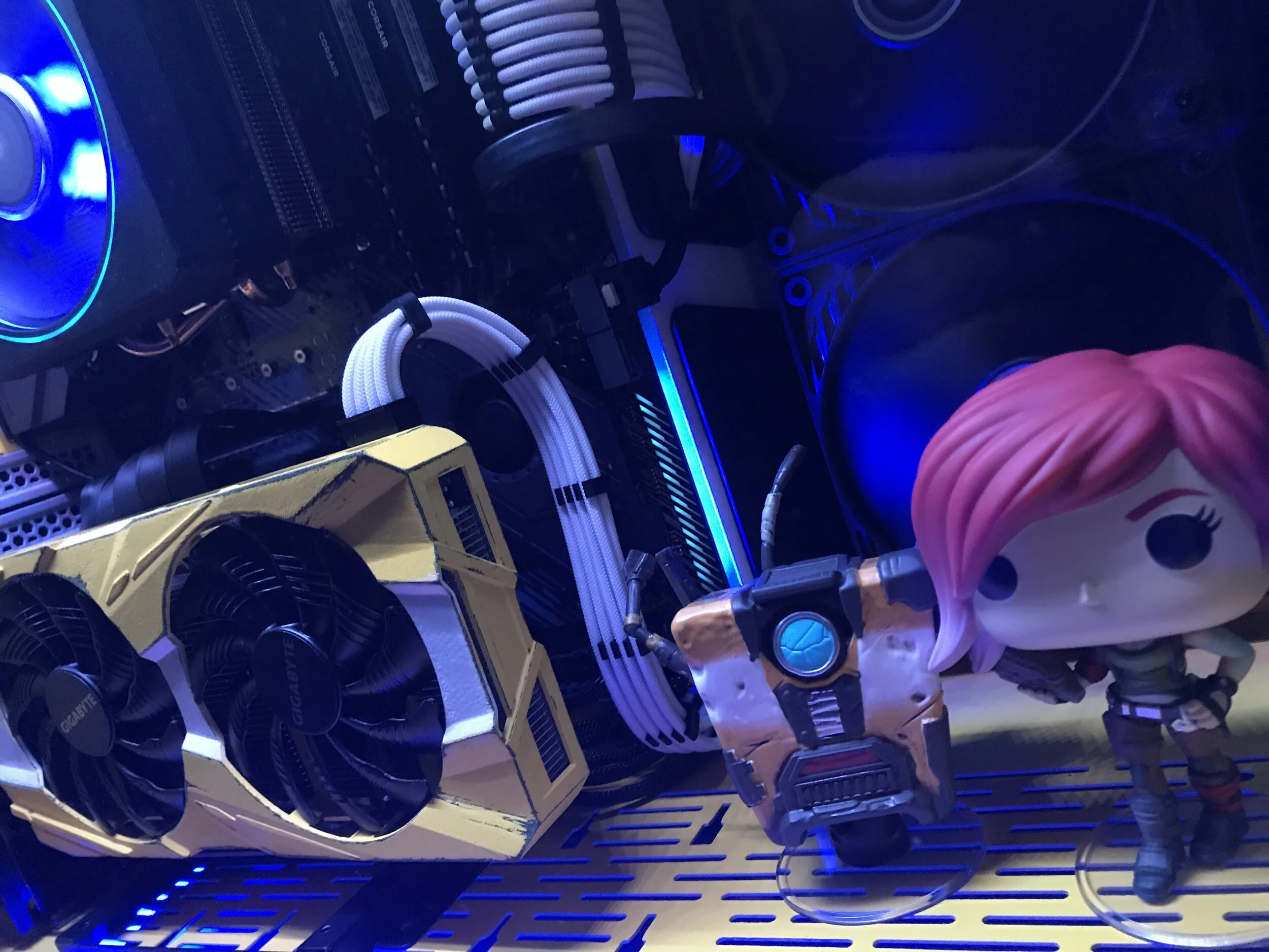 image3 (1).jpeg