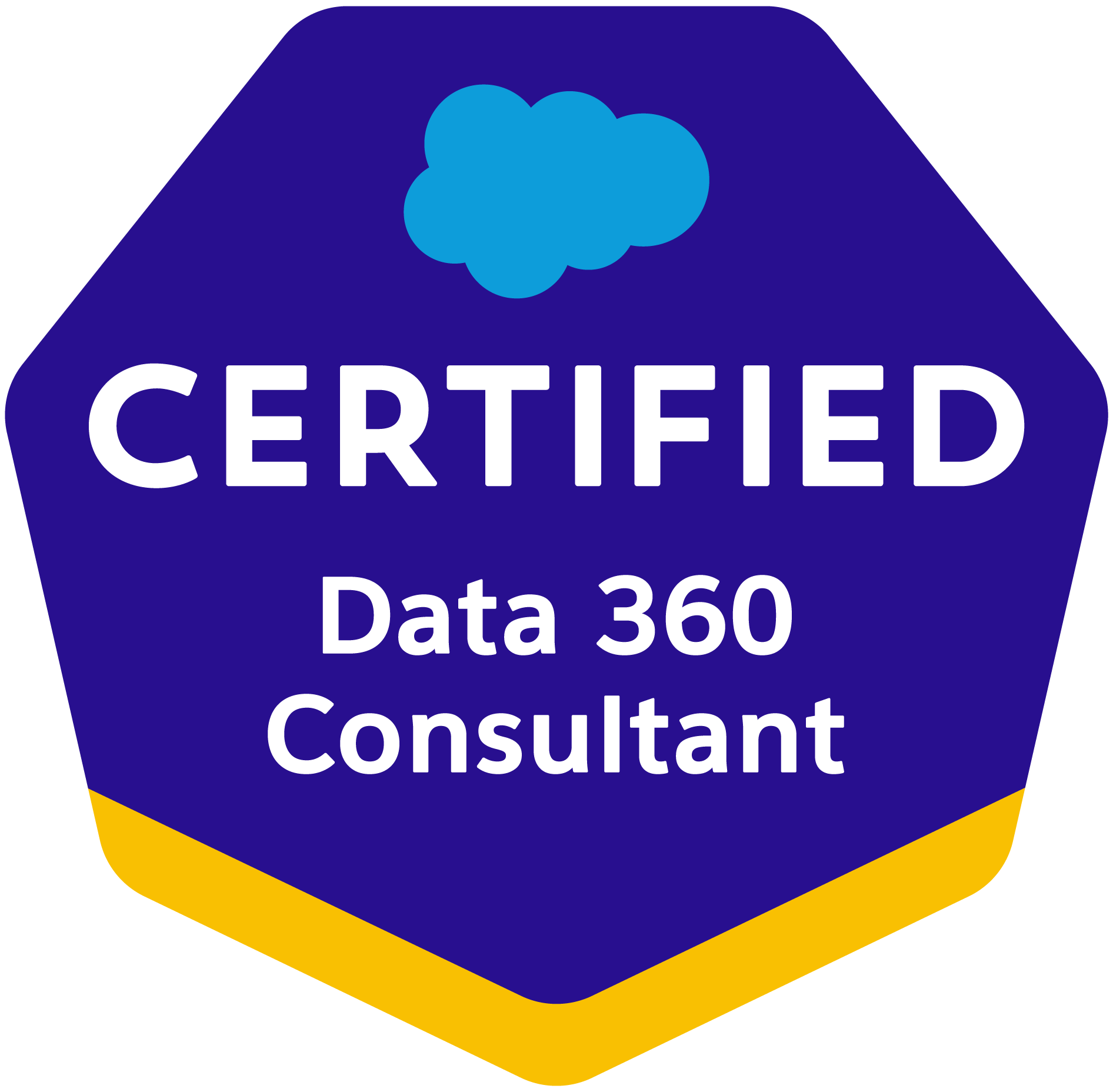 Data 360 Consultant