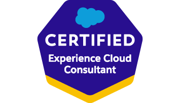 ExperienceConsultant.png
