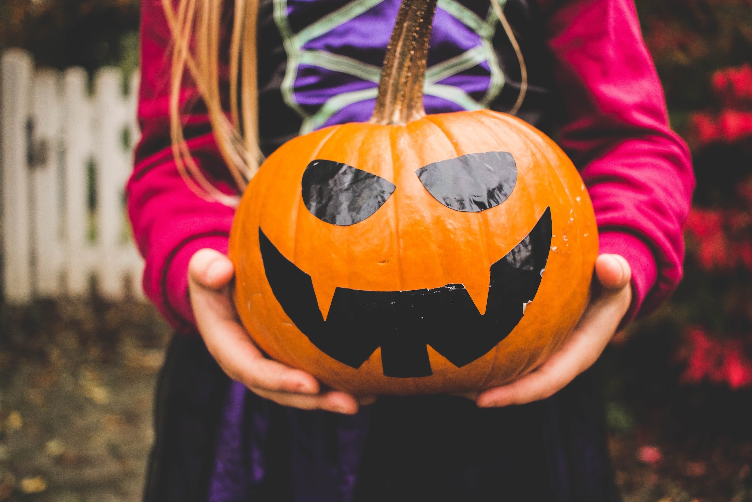 All about the spookiest holiday — Halloween!, Articles
