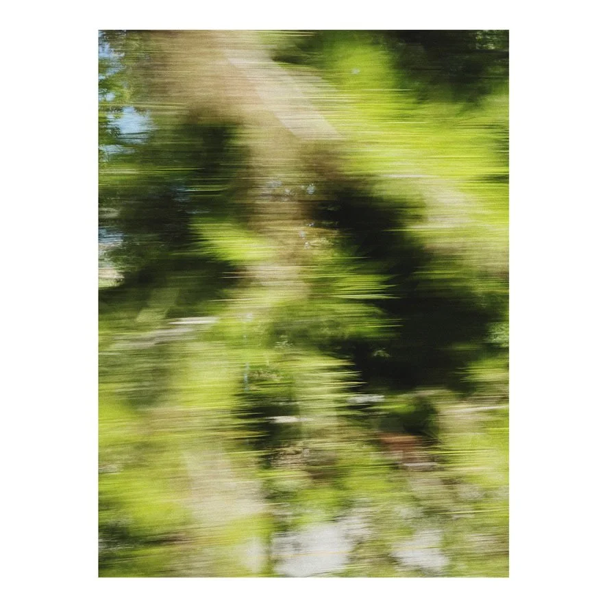 81E1E25B-1093-43C9-9D32-24D3A8F1B501_1_105_c.jpg