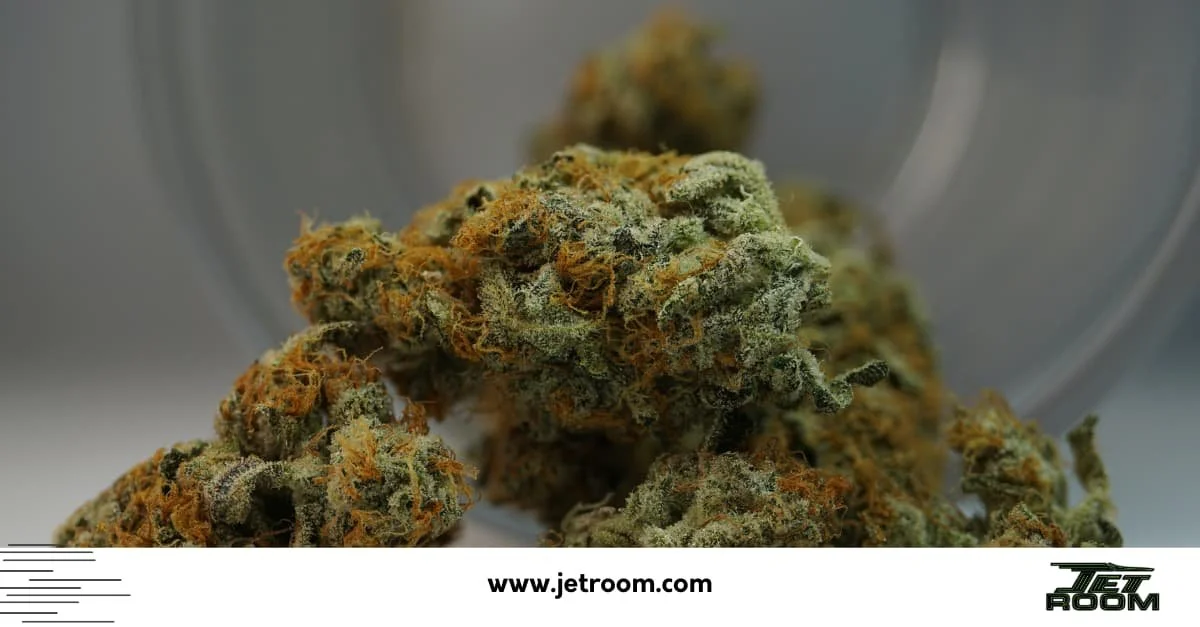 Adelanto Relaxing Strain